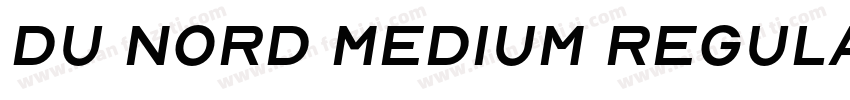 Du Nord Medium Regular字体转换
